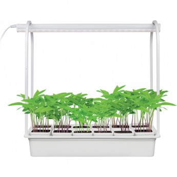 Светильник UNIEL ULT-P34-10W/SPBR IP20 WHITE 12 Светильник UNIEL ULT-P34-10W/SPBR IP20 WHITE 12