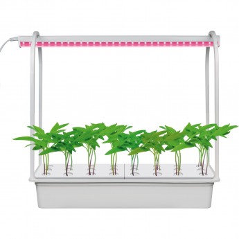 Светильник UNIEL ULT-P44B-10W/SPSB IP40 AQUA SIMPLE WHITE Светильник UNIEL ULT-P44B-10W/SPSB IP40 AQUA SIMPLE WHITE