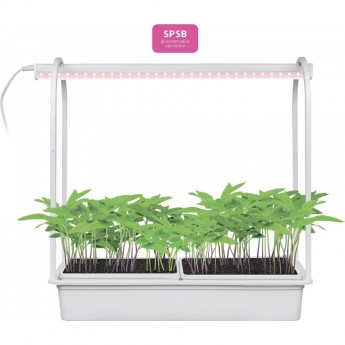 Светильник UNIEL ULT-P54-10W/SPSB IP20 WHITE Светильник UNIEL ULT-P54-10W/SPSB IP20 WHITE